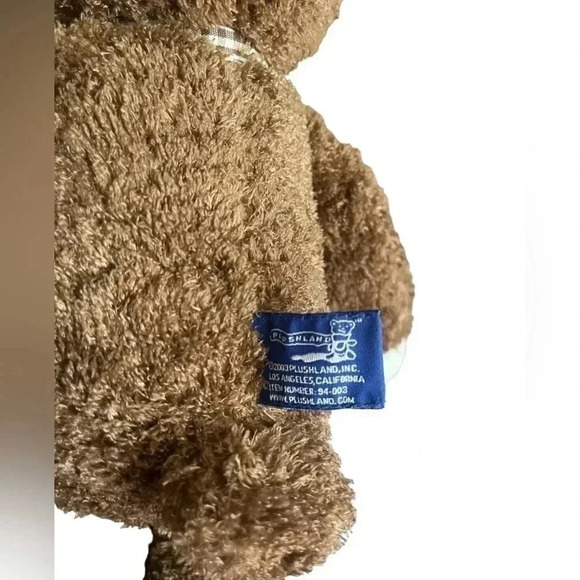 March of Dimes Bean Bag for Babies Vintage 2003 Brown Teddy Bear Plush - Picture 5 of 12